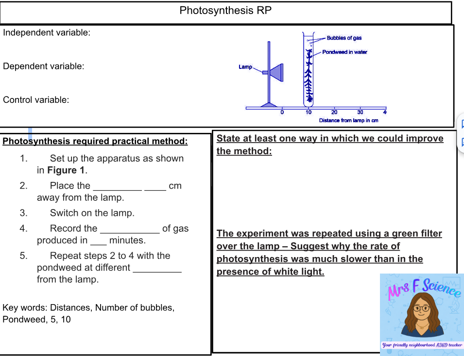 AQA GCSE Biology Photosynthesis Required Practical Worksheet | KS4