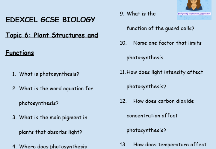 Plant Structures and Functions – GCSE Biology Topic 6 Retrieval Questions | Edexcel