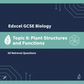 Edexcel GCSE Biology Topic 6: Plant Structures and Functions – 30 Retrieval Questions