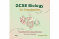 GCSE Biology B2 Organisation Retrieval Questions Foundation Tier AQA worksheet cover