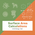 GCSE Biology Surface Area Calculations Worksheet