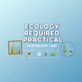 GCSE Biology Ecology Required Practical Worksheet for AQA students