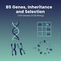 B5 Genes, Inheritance and Selection OCR Gateway GCSE Biology retrieval questions worksheet cover